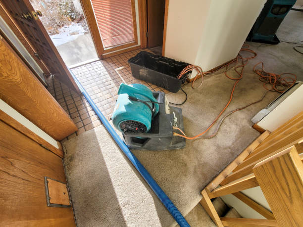 Best 24/7 water damage repair  in Vega, TX