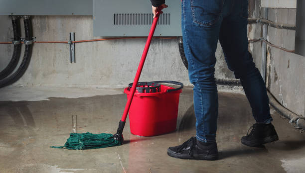 Best 24/7 water damage repair  in Vega, TX