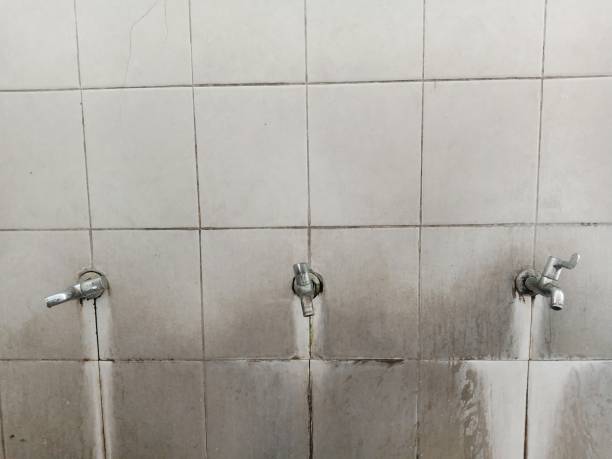 Best Water damage contractors near me  in Vega, TX
