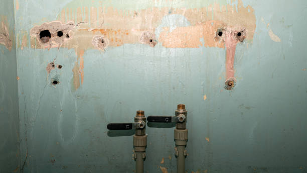 Best Residential water damage restoration  in Vega, TX